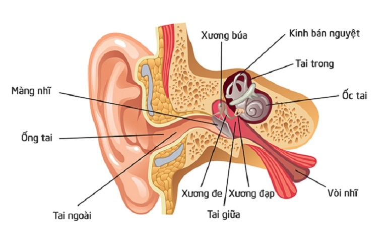 Viêm tai ngoài ác tính: bệnh có thể gây nguy hiểm đến tính mạng